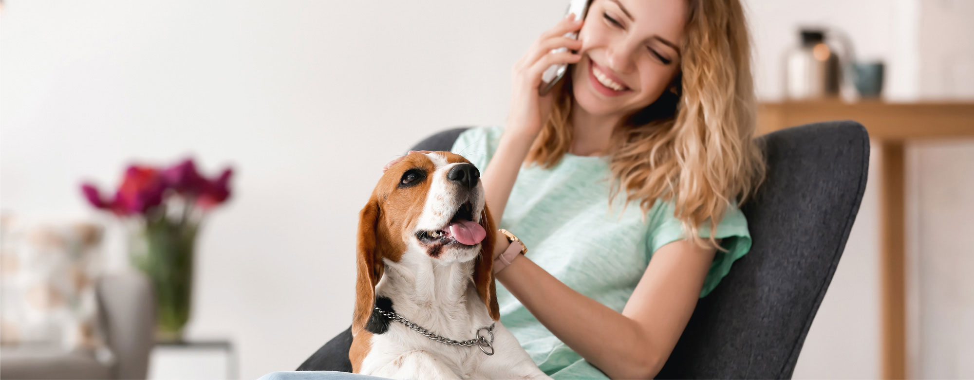 Auch Hundeliebe geht durch den Magen