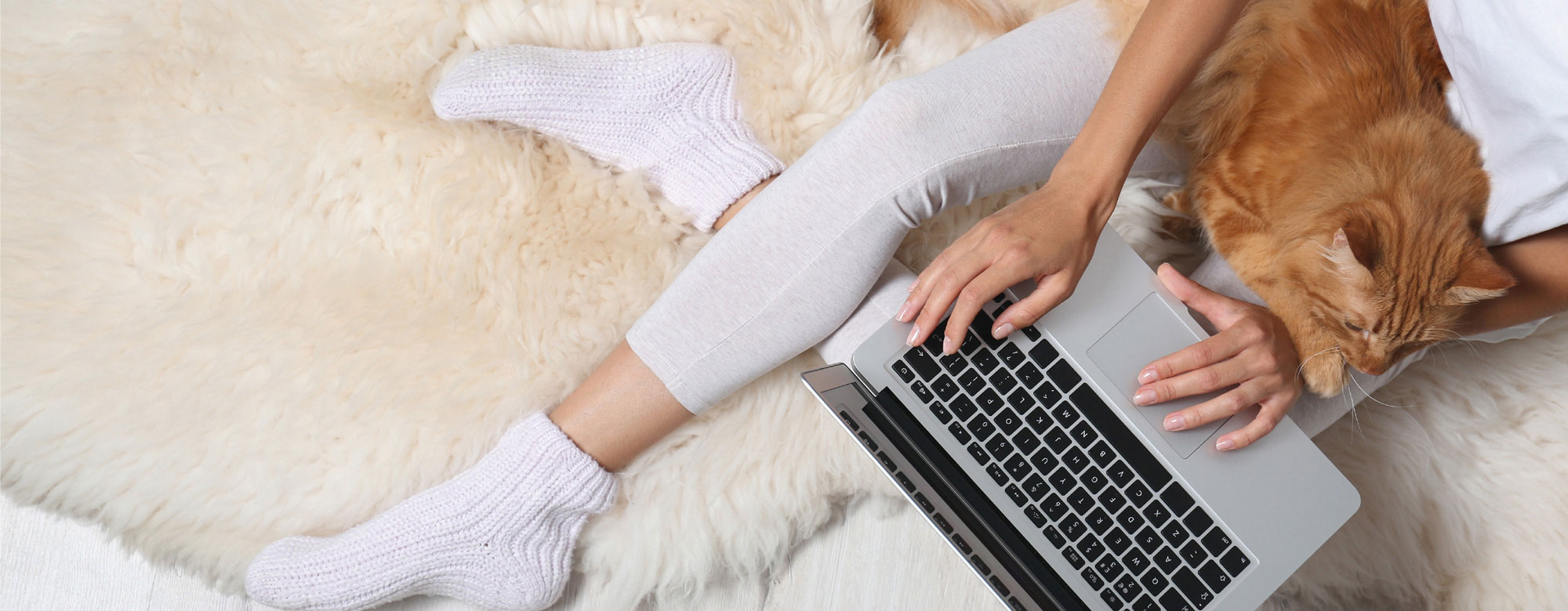 Auch Hundeliebe geht durch den Magen