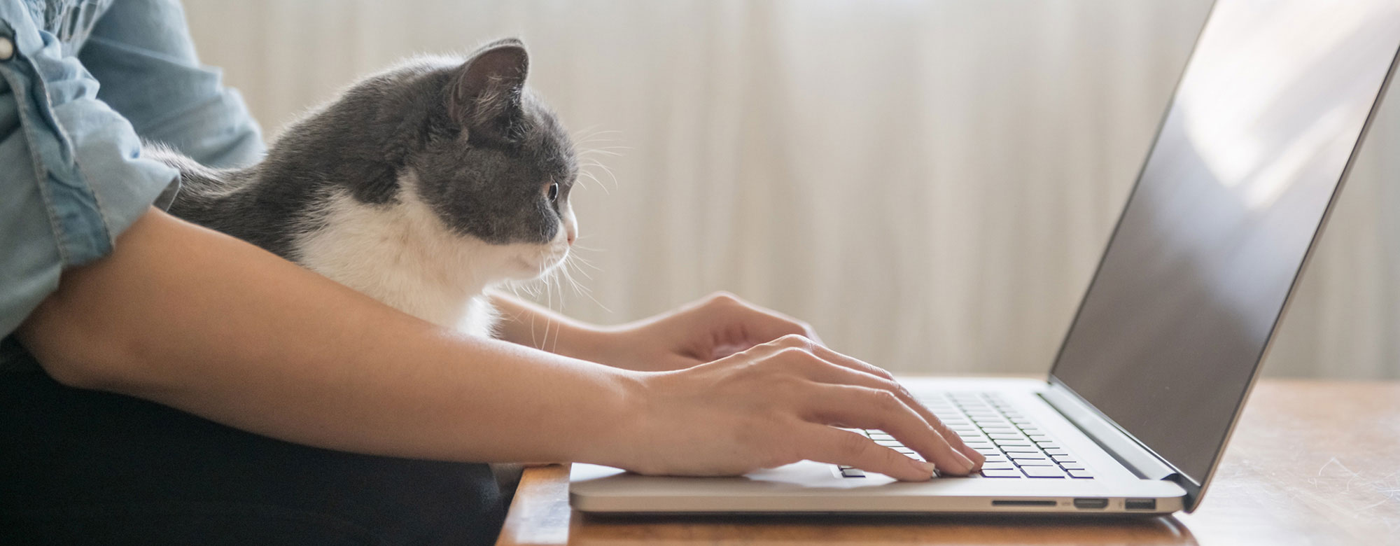 Auch Hundeliebe geht durch den Magen