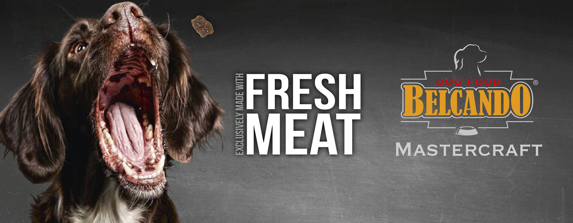 Auch Hundeliebe geht durch den Magen