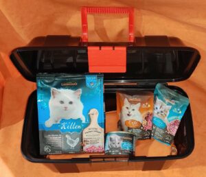 Kennenlernpaket 8 - LEONARDO® (Kitten)