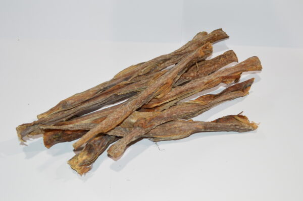 Bombay Duck