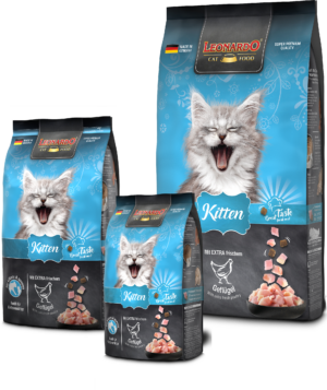 Leonardo® Kitten