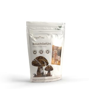 fungoVITAL BauchGefühl, 100 g Snack
